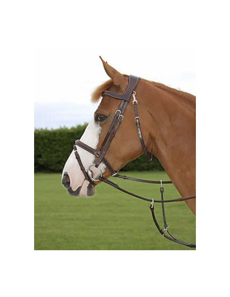 Working bridle, komb nosgr S/S