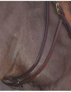 Dyón Sidostycken till hackamore Mässing 2