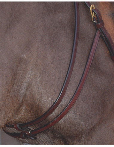 Dyón Sidostycken till hackamore Mässing