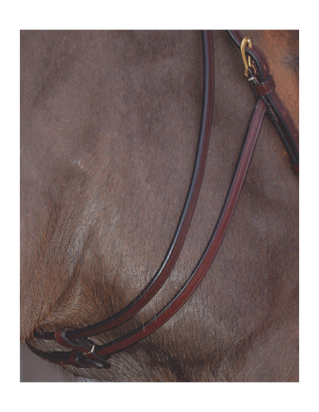 Dyón Sidostycken till hackamore Mässing