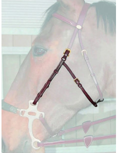 Dyón Sidostycken till hackamore Mässing