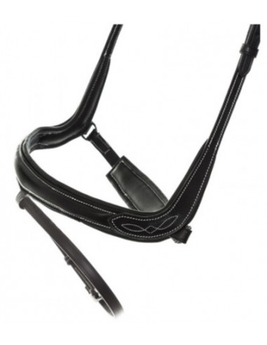 Kavalkade Träns Ivy