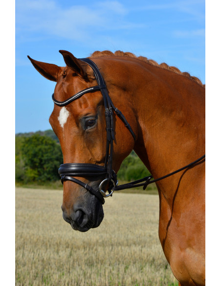 Dressyrträns Lippo Supreme Integro