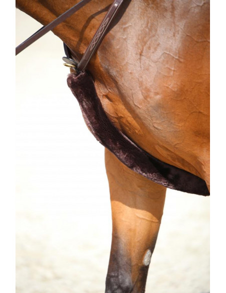 Kentucky Breastplate cover