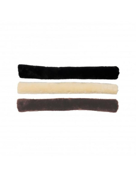 Kentucky Breastplate cover