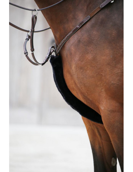 Kentucky Breastplate cover