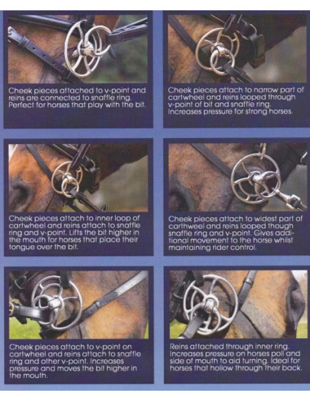 John Whitaker Gagbit twisted