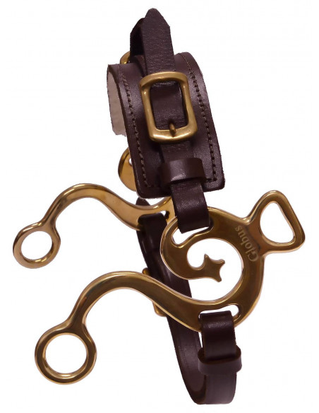 Hackamore med utsirade skänklar