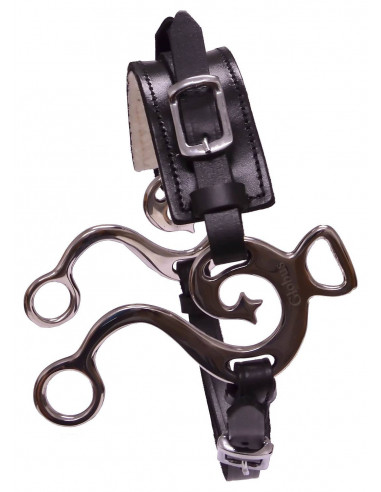 Hackamore med utsirade skänklar