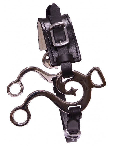 Hackamore med utsirade skänklar