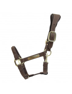 Kentucky Anatomic suede halter 2