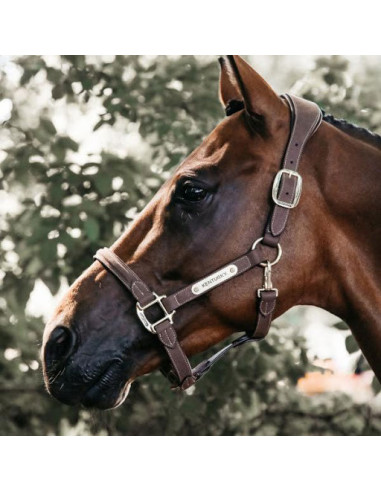 Kentucky Anatomic suede halter