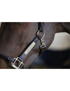 Kentucky Leather anatomic halter 2