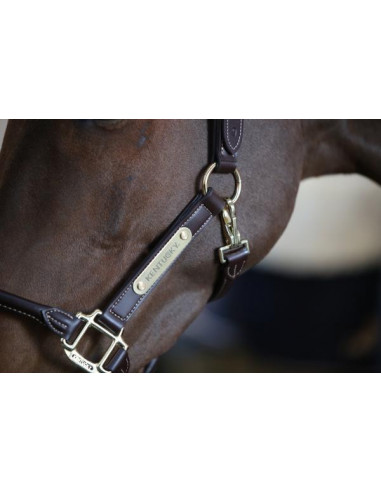 Kentucky Leather anatomic halter