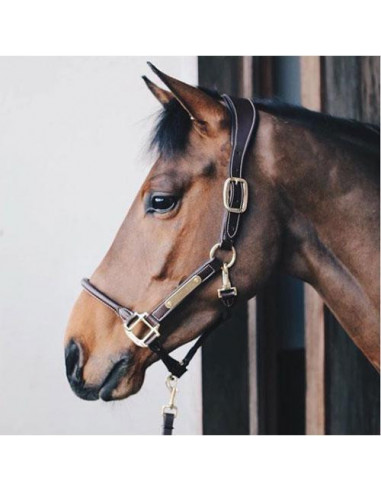 Kentucky Leather anatomic halter