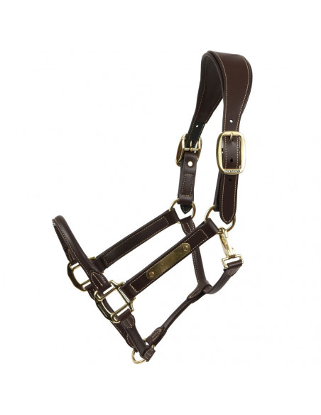 Kentucky Leather anatomic halter
