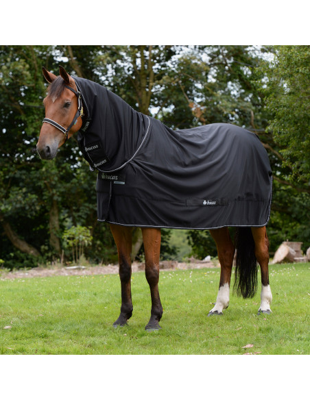 Shamrock Power Full Neck