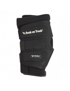 Back on Track Royal Hasskydd 2