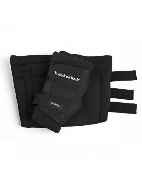 Back on Track Royal Hasskydd