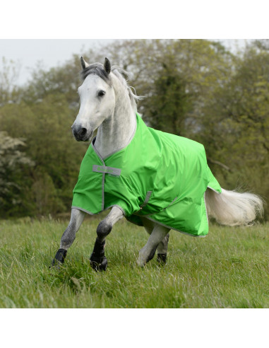 Freedom Turnout Light