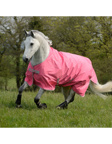 Freedom Turnout Light