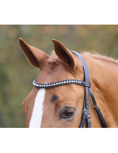 Shire Aviemore Large Diamante Pannband 2