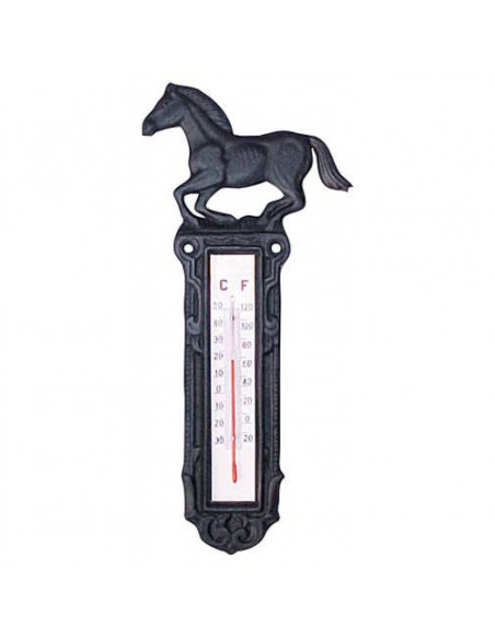 Stalltermometer Gjutjärn