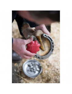 LeMieux Stud Tap Svart 2