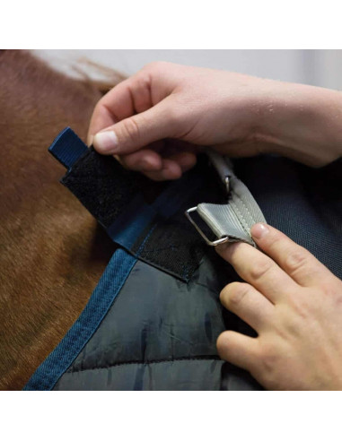 Back on Track Innerfoder Felix 100g