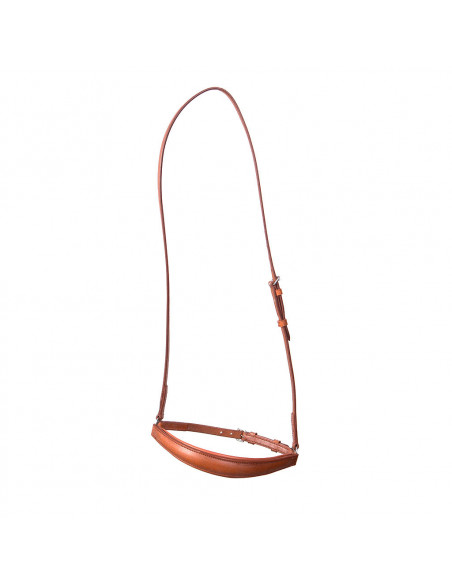 Globus Teller Remontnosgrimma