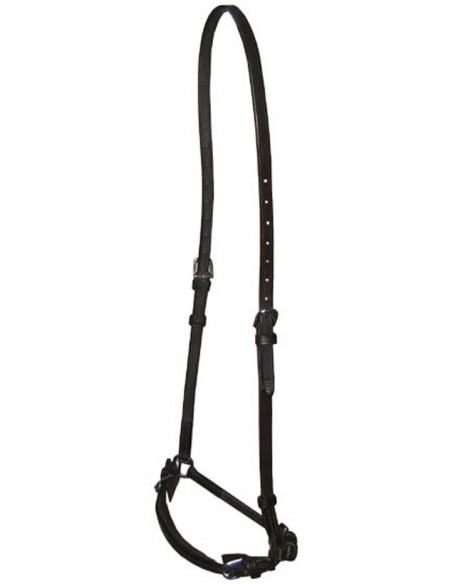 Globus Curie Remontnosgrimma