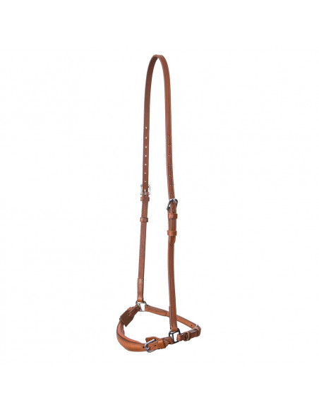 Globus Curie Remontnosgrimma