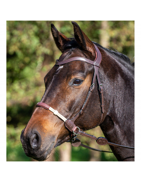 Dyón Bettlöst träns La Cense Collection