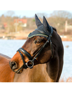 Globus Träns Brian 2