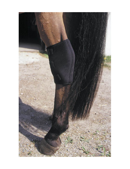 Globus Hasskydd Neopren