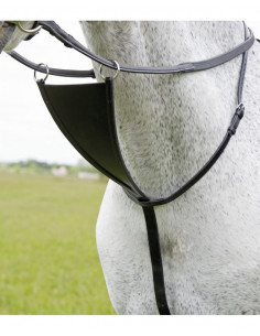 Shires martingal Bib