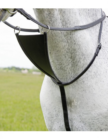 Shires martingal Bib