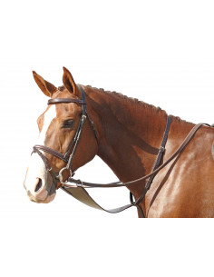 Shires martingal Bib 2