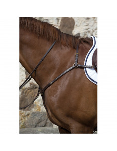 Mountain Horse Meteor förbygel 2