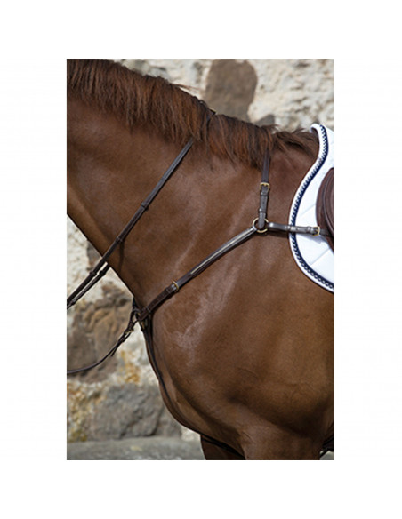 Mountain Horse Meteor förbygel