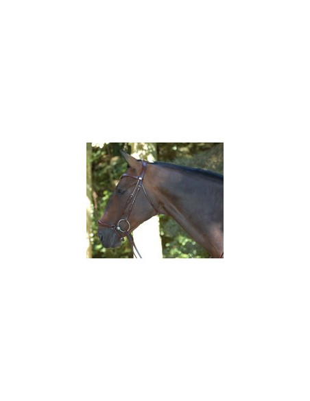 Dyón Remontträns Dressage Collection