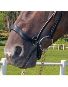 Glen Gordon Ariel remontnosgrimma