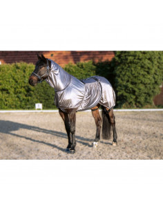 Eksemtäcke Security 2