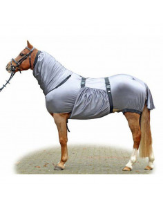 Eksemtäcke Security