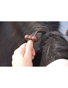 Dyón Jump grepptygel 5/8 English collection