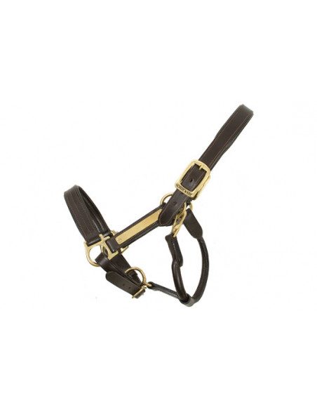 Amigo Padded Headcollar