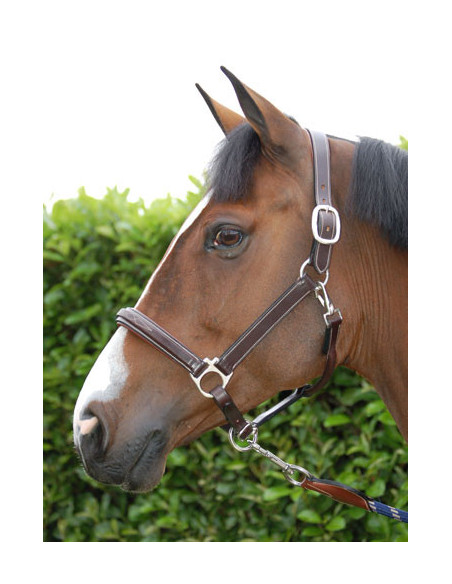 Dyón Lädergrimma Working collection