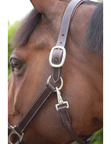 Dyón Lädergrimma Working collection