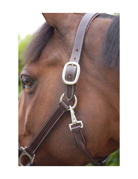 Dyón Lädergrimma Working collection