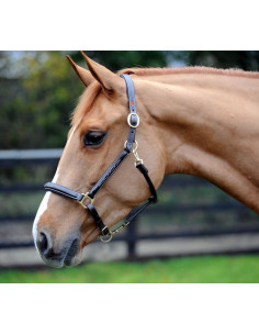 John Whitaker Lädergrimma Fancy